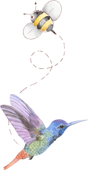 A hummingbird with its wings spread and the letter q